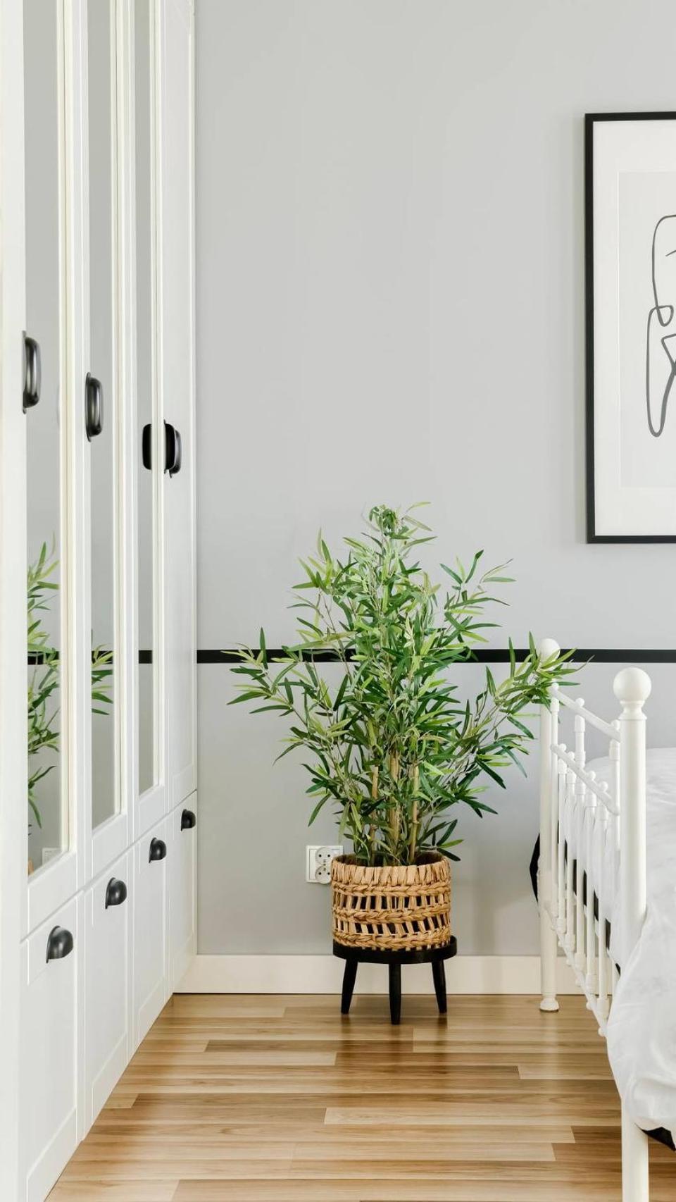 Apartament Sweet Home 比得哥什 外观 照片
